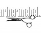 Ножницы парикмахерские прямые Evo Titanium T44860